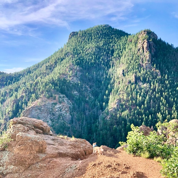 Meet your Posher, Dominika - Picture 9 of 9